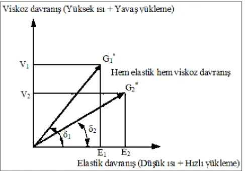 ġekil 3.3. Viskoelastik davranıĢ 