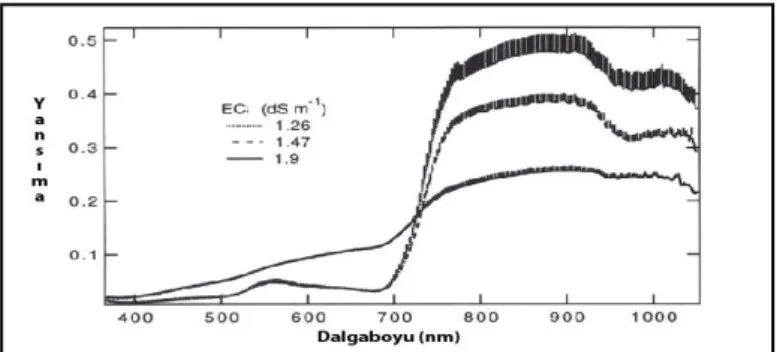 ġekil 2.5.Üç farklı tuz seviyesinde (EC olarak ölçülmüĢ) arpa bitkisine ait spektral yansıma eğrileri 