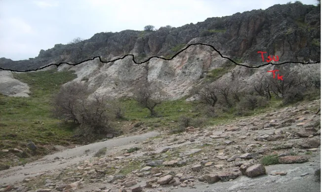 ġekil  1.7.  Küçükmuhsine  Formasyonu  (Tdk)  ile  Sulutas  Volkanitleri  (Tds)  arasındaki                           sınır ilişkisinden bir görünüm (Sille Barajının güneybatısı,  Hacıismail Tepe)