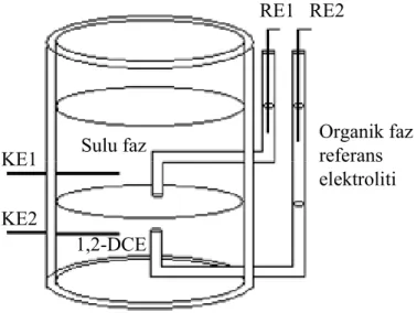 Şekil 3.3. Deneylerde kullanılan dört-elektrotlu cam hücrenin şematik gösterimi 
