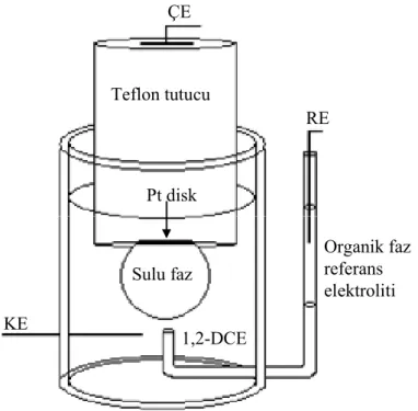 Şekil 3.6. Deneylerde kullanılan üç-elektrot bağlantılı cam hücrenin şematik gösterimi (KE: Karşıt  elektrot; RE: Referans elektrot, ÇE: Çalışma elektrodu) 