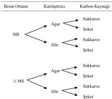 Şekil 3.1. Çalışmada ele alınan uygulamaların şematik görüntüsü 