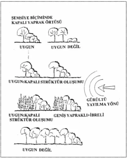 Şekil 2.1.  Gürültüye karşı tesis edilen yeşil perdelerde çeşitli tipte profil örnekleri (Önder,2010)