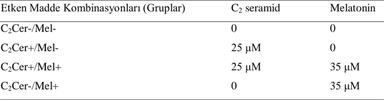 Çizelge  2.1.  C 2 Cer  ve  melatonin  muamele  kombinasyonları.  MCF-7  ve  HEK293  hücreleri  25  μM  C 2 Cer  ve  35  μM  melatonin  ile  farklı  kombinasyonda  48  saat  boyunca muamele edildi