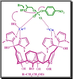 ġekil 2.19. Kaliks[4]aren-Cu +2  kompleksi ile HPNP‟nin etkileşim mekanizması 