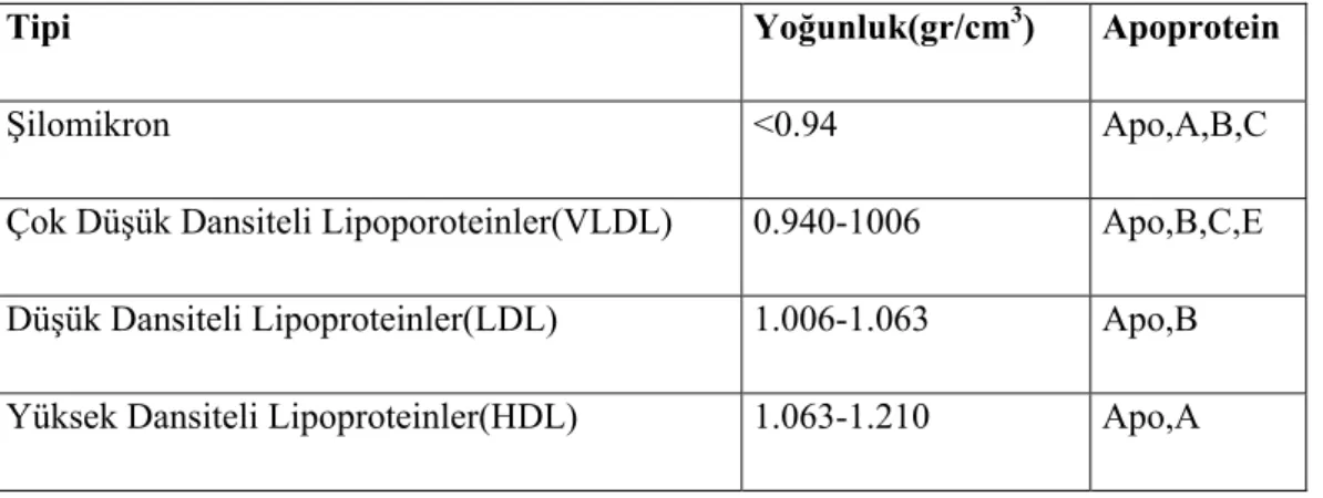 Tablo 2.1. Lipoproteinlerin sınıflandırması 