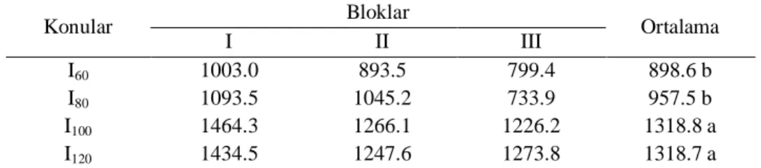 Çizelge 4.3. Farklı sulama suyu uygulamalarında tespit edilen dane verimleri (kg/da) 