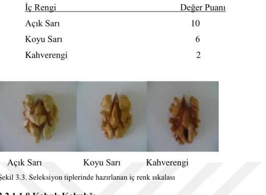 Şekil 3.3. Seleksiyon tiplerinde hazırlanan iç renk ıskalası 