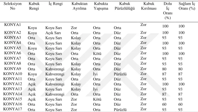 Çizelge 4.3. Meyve örneği alınan ağaçların kabuk rengi, iç rengi, kabuktan ayrılma, kabukta yapışma,  kabuk pürüzlülüğü, kabuk kırılması, dolu iç oranı (%) ve sağlam iç oranı (%) özellikleri  Seleksiyon  No  Kabuk Rengi  İç Rengi  Kabuktan  Ayrılma  Kabukt