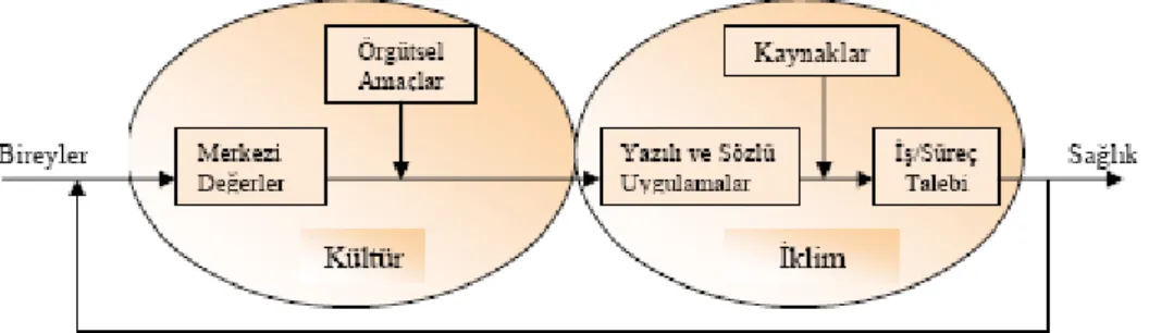 Şekil 4: Örgütte Sağlık Sistem Modeli 