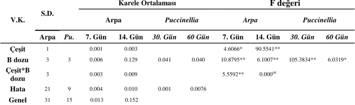 Tablo  4.1  Arpa  (Hamidiye  ve  Tokak)  çeşitleri  ile  Puccinella  distans  bitkilerinden  bor  toksisitesi  koşullarında  elde  edilen  gövde  yaş  ağırlık  değerlerine  ait  varyans  analiz sonuçları