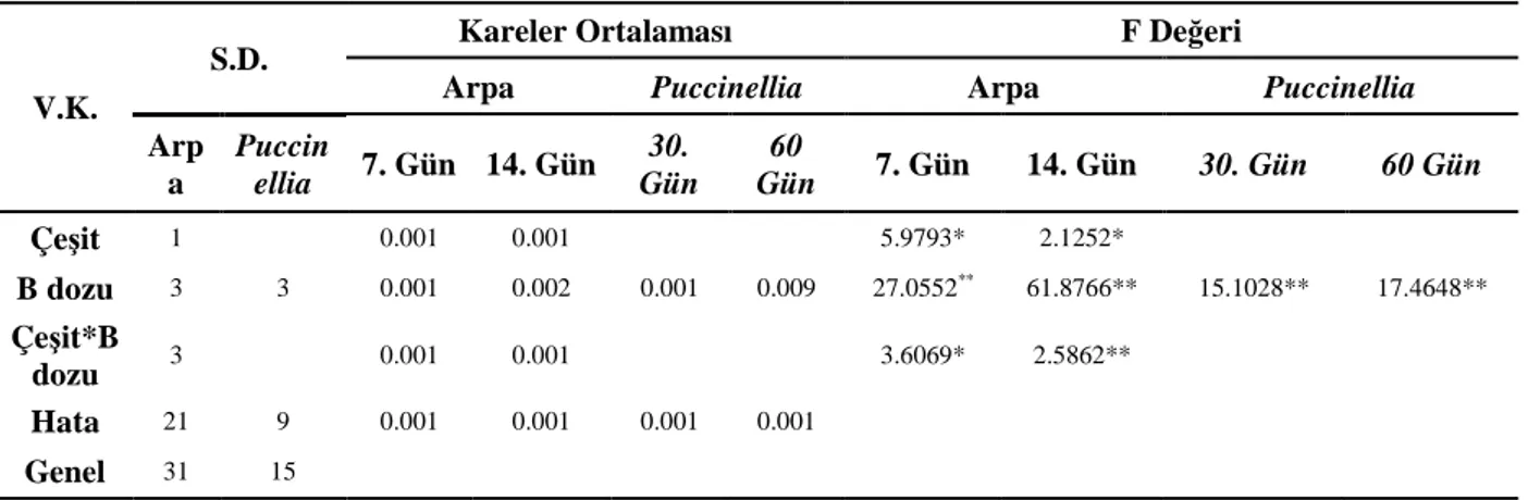 Tablo  4.3.  Arpa  (Tokak  ve  Hamidiye)  çeşitleri  ile  Puccinellia  distans  bitkilerinden  bor  toksisitesi  koşullarında  elde  edilen  gövde  kuru  ağırlık  değerlerine  ait  varyans analiz sonuçları