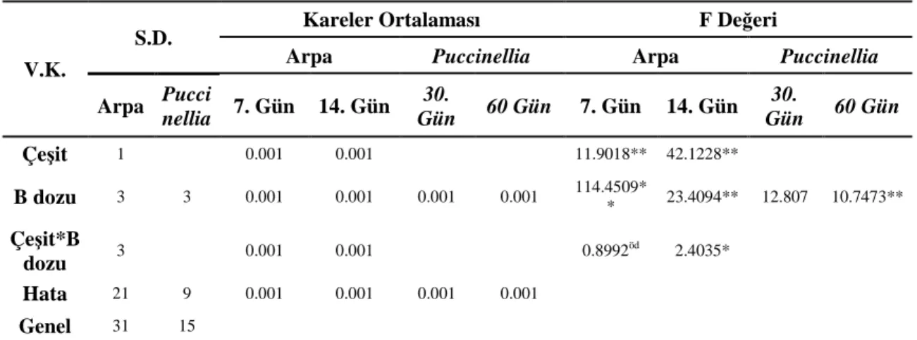 Tablo  4.7.  Arpa  (Tokak  ve  Hamidiye)  çeşitleri  ile  Puccinellia  distans  bitkilerinden  bor  toksisitesi  koşullarında  elde  edilen  kök  kuru  ağırlık  değerlerine  ait  varyans  analiz sonuçları