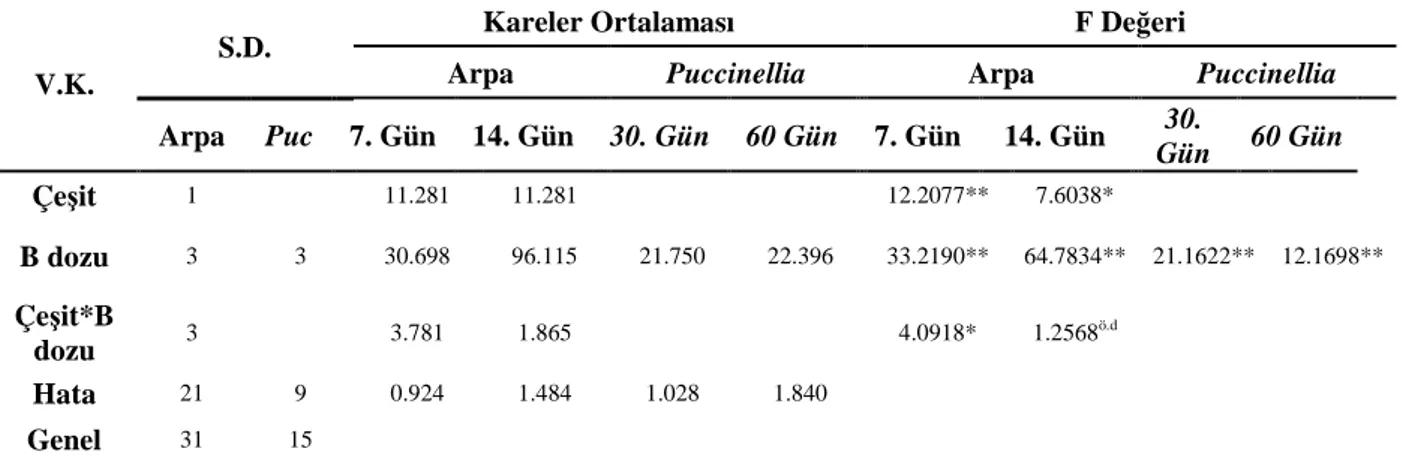 Tablo  4.9.  Arpa  (Tokak  ve  Hamidiye)  çeşitleri  ile  Puccinellia  distans  bitkilerinden  bor  toksisitesi  koşullarında  elde  edilen  gövde  boyu  değerlerine  ait  varyans  analiz sonuçları