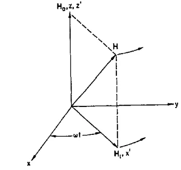 ġekil 2.8. H o  sabit bileşen ve ω frekansı ile değişen H 1  bileşeninden meydana gelmiş H manyetik alanının  gösterimi 