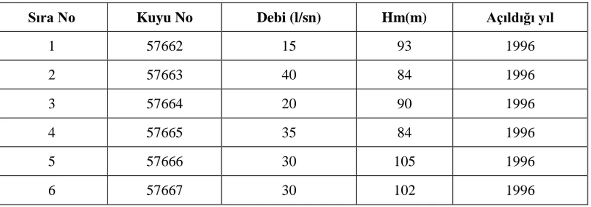 Çizelge 3.2. DSİ tarafından açılan kuyuların özellikleri (Anonim, 2006) 