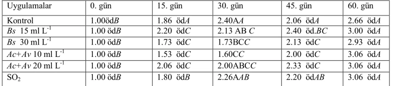 Şekil 4.1.6. ‘AK’ üzüm çeşidinde yapılan uygulamaların salkım iskeleti kararma değerine etkileri  0,000,501,001,502,002,503,003,50015304560Depolama Günleri