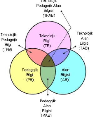Şekil 2.1. TPAB Modeli 