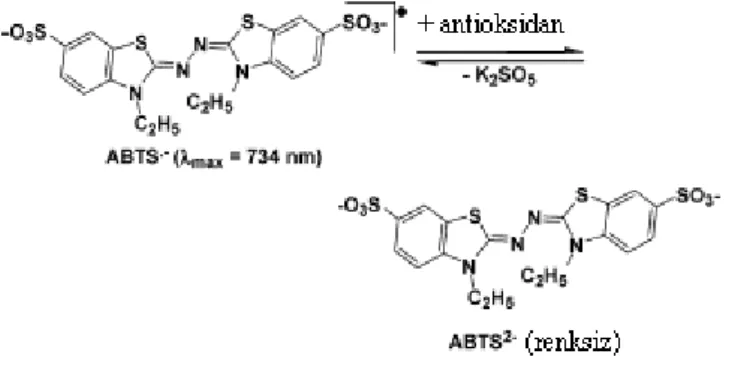 ġekil 1.4. Potasyum persülfat oksidasyonu ile ABST 2- „den oksidan ABST •-  „nin oluşması (Huang ve ark., 2005)