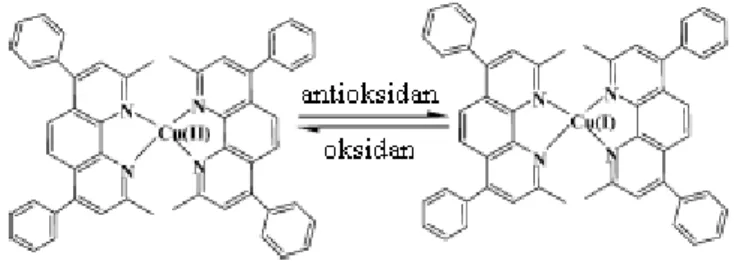 ġekil 1.6. 1,1-difenil-2-pikrilhidrazil (DPPH)‟in moleküler yapısı (Molyneux, 2004). 