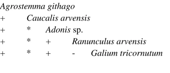 Çizelge 4.6. Doğu Karadeniz Bölgesinde buğday ürününe karıĢan yabancı ot türlerinin  topluluk oluĢturması   _________________________________________  Agrostemma githago   +  Caucalis arvensis   +  *  Adonis sp