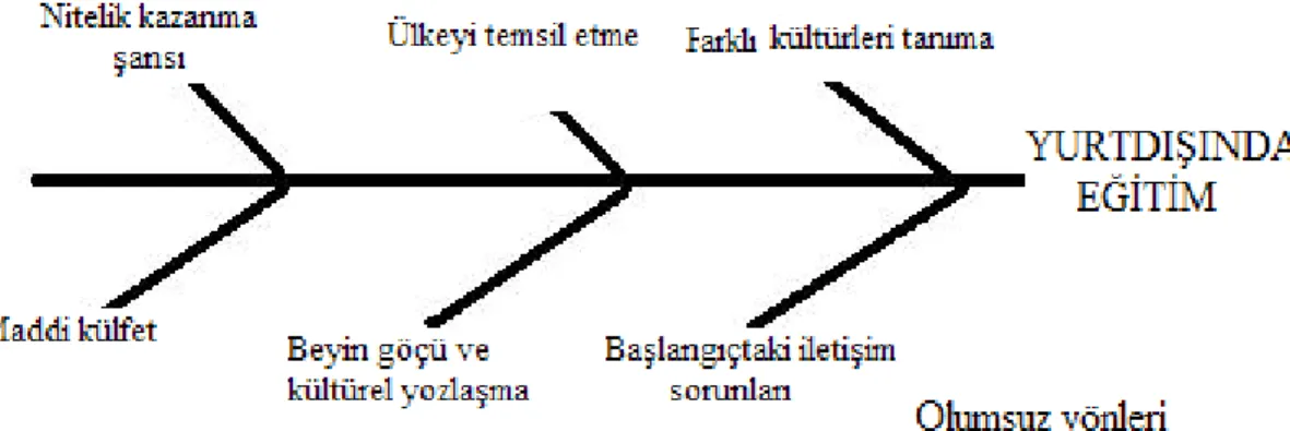 Şekil 8: Balık kılçığı Biçiminde Kavram Haritası 