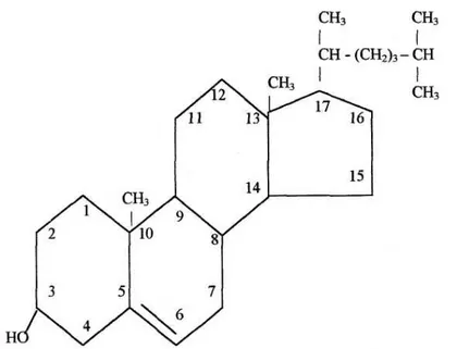 Şekil 2.3. Kolesterolün yapısı (Kalaycıoğlu ve ark 1998) 