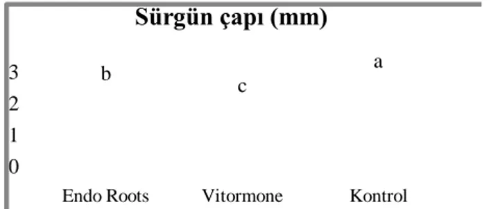 ġekil 4.6. Endo Roots ve Vitormone uygulamalarının 41 B anacına sürgün çapına etkileri 