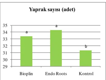 ġekil 4.15. Bioplin ve Endo Root uygulamalarının 99 R anacında yaprak sayısına etkileri 