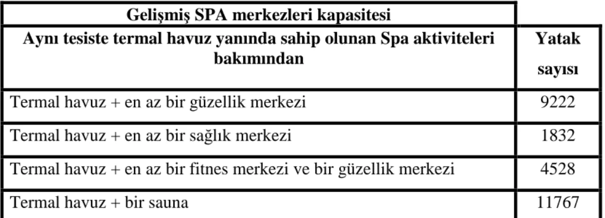 Tablo 2.3. Türkiye’deki Türüne Göre Termal Tesis  Kapasitesi (Anonim, 2003)  Türkiye'de türüne göre termal tesis kapasitesi 