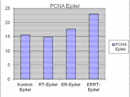 Grafik  3.2.5:  Barsak  epitelinde  PCNA  düzeyleri  (PCNA  pozitif  hücre  /  total  hücre  (%) - Mitotik index) 