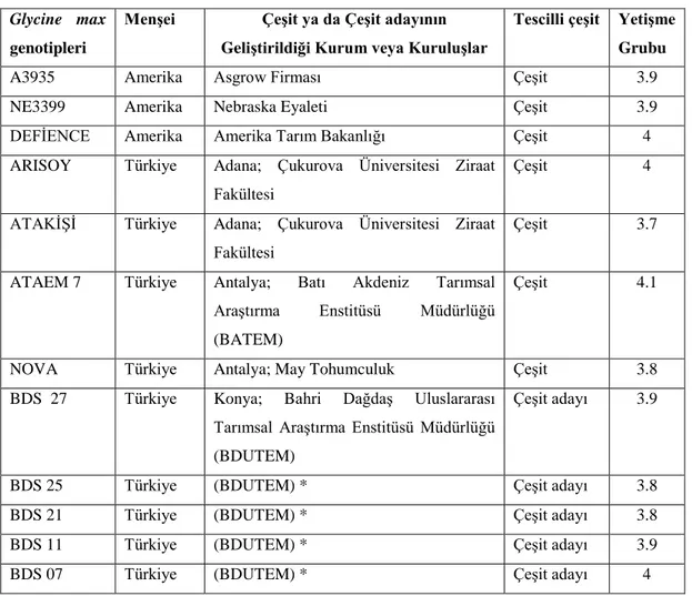 Çizelge 3.1. Glycine max genotipleri hakkında bilgi 