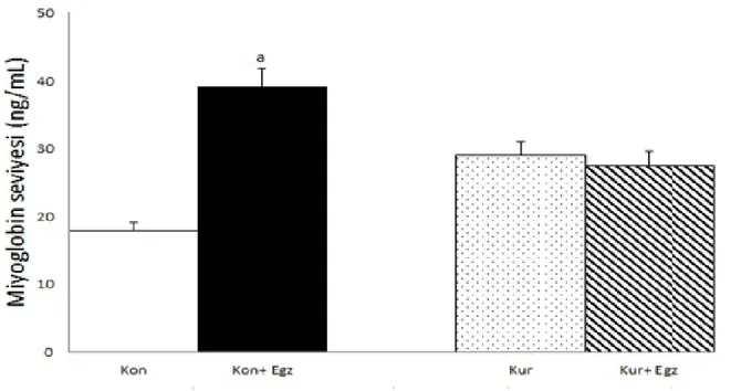 ġekil 6: Miyoglobin seviyeleri  ( ng/ml) 