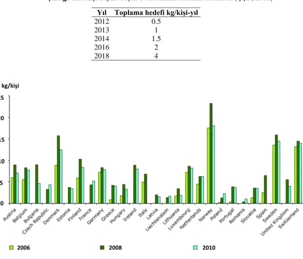 Çizelge 1.1. Kişi başına düşen evsel AEEE atık miktarı hedefi (ÇŞB, 2012) 