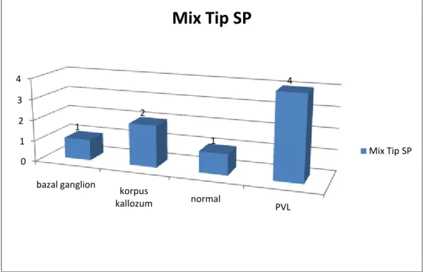 Grafik 3.13 Sağ hemiplejik SP‟de lezyonların anatomik lokalizasyonu 