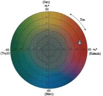 Şekil 3.4. L*, a* ve b* renk alanı renksellik diyagramı 