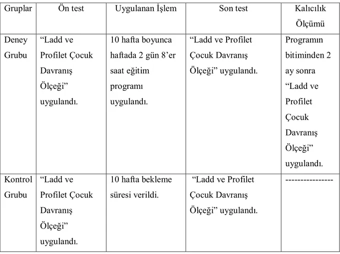 Tablo 3.8.1. Deneysel İşlemin Uygulanış Düzeni 