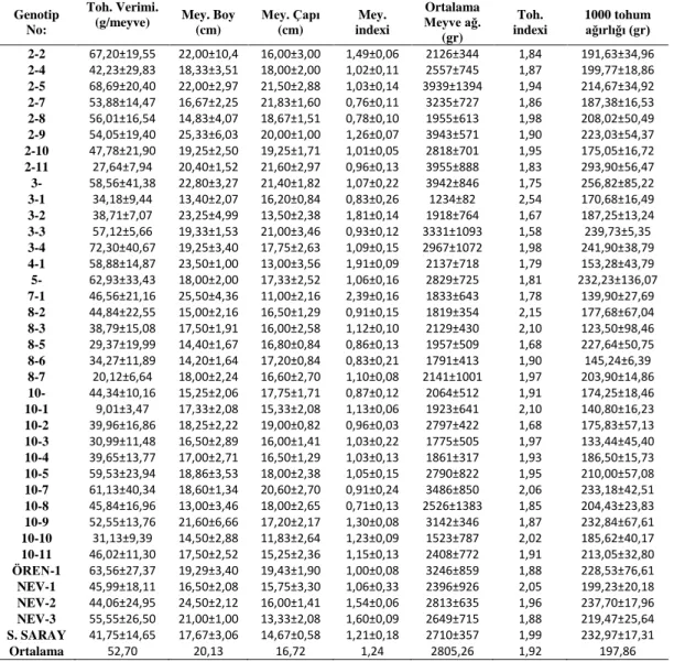 Çizelge 4.1.1‟in devamı 