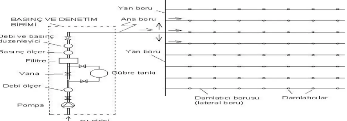 Şekil 1.1. Damla Sulama Sistemi 