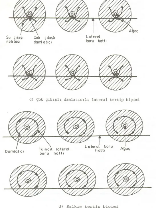 Şekil 1.2. Damla Sulamada Lateral Tertip Şekilleri 