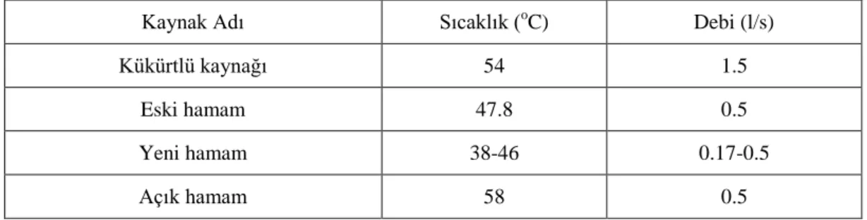 Çizelge 3.8 Gazlıgöl Jeotermal alandaki kaynaklar (Akan ve Süer, 2009) 