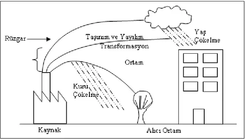 Şekil 4.6. Kirleticilerin rüzgar vasıtasıyla yayılması (Stern 1984) 