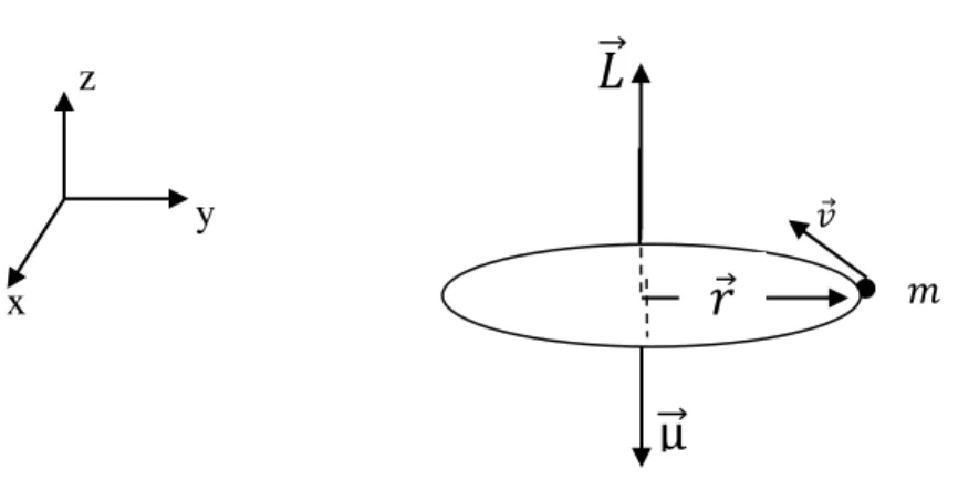 Şekil 2.1. Akım ilmeğinde oluĢan manyetik dipol momenti ve yörünge açısal momentum. 