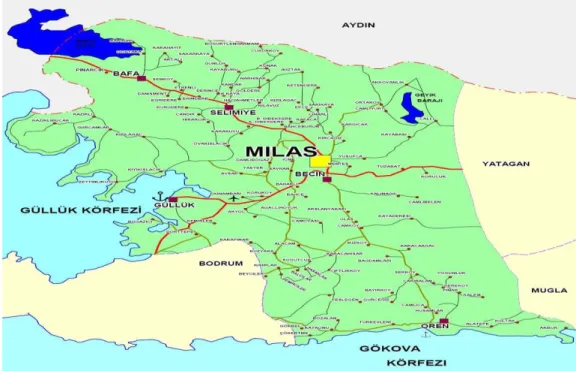 ġekil 2. Deneme alanı görüntüsü 
