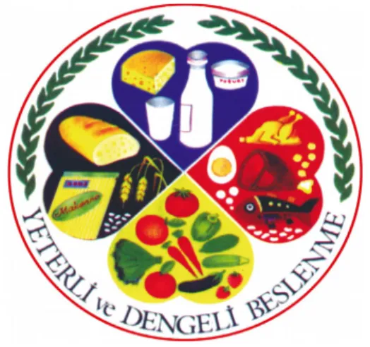 Şekil -2: 4 Yapraklı Yonca