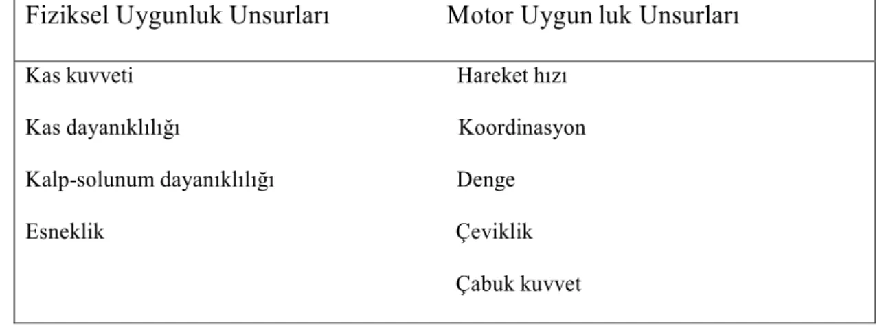 Tablo 1: Gallahue’ye göre motor gelişimde etkili olan fiziksel ve motor  yetenekler (akt: Özer, Özer, 2001)