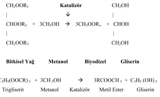 Çizelge 1.7 Transesterifikasyon reaksiyonu 