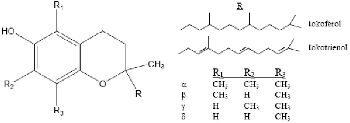 Şekil 2.2. Çeşitli tokoferol ve tokotrienol formları (Hall 2001) 