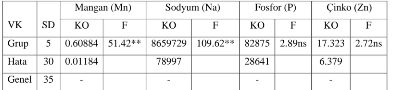 Çizelge 4.8. Farklı Antioksidanlar İlave Edilerek Üretilen Mekanik Ayrılmış Piliç Eti  Köftelerinin  Bazı  Mineral  Madde  Analiz  Değerlerine  Ait  Varyans  Analizi Sonuçları (Devamı) 