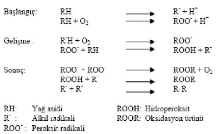 Şekil 2.1 Lipit oksidasyonu mekanizması  (Gordon 2001) 